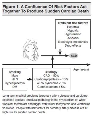 Figure 1. A Confluence Of Risk Factors Act Together To Produce Sudden Cardiac Death Emergency Medical Practice_1
