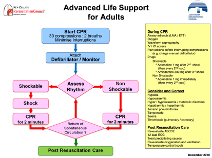 Screen Shot 2013-10-27 at 4.49.00 PM