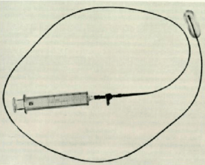 Screen Shot 2017-10-10 at 10.06.18 am