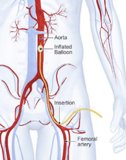 Screen Shot 2017-10-10 at 10.49.53 am